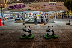 「パンダ広場」