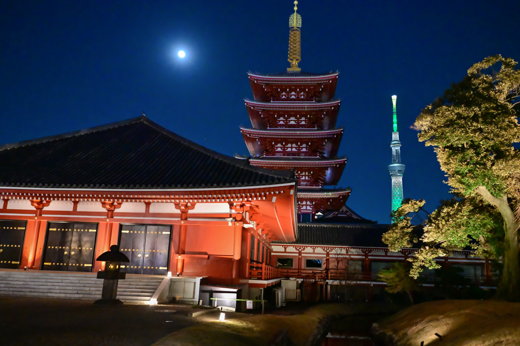 「伝法院庭園」