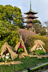 「上野東照宮ぼたん苑」