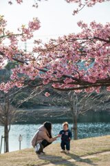 「春の日差しを浴びて」