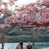 「春の日差しを浴びて」