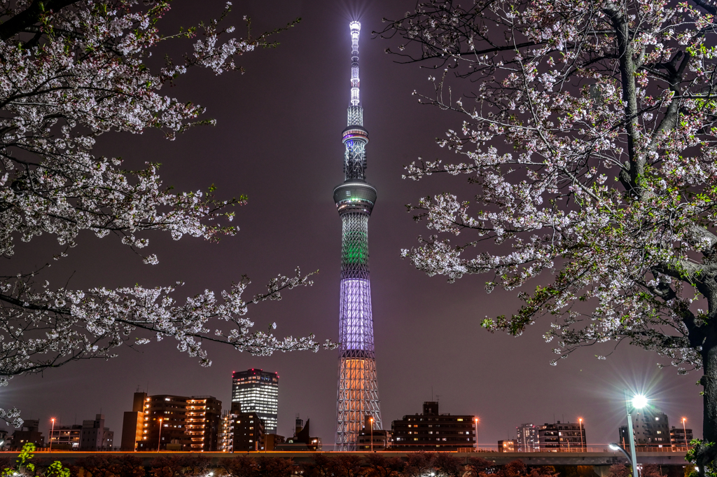 ③群馬県