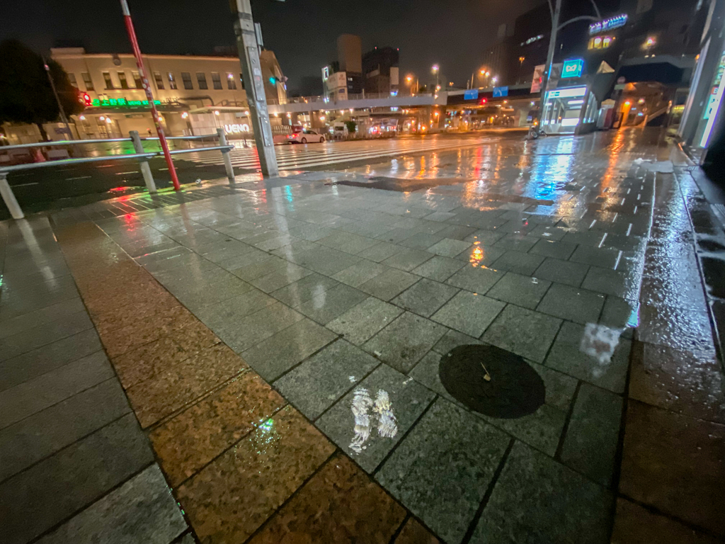 「雨降る上野駅」-3