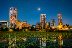 「一際輝く三日月」