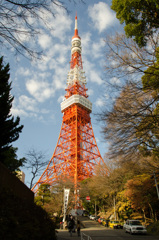 「冬空に赤く燃え立つ東京タワー」0138