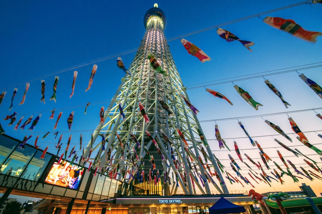 「In the clear sky」DSC_8577