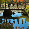 「紅葉の六義園」