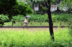 ［１８］「雨にぬれて・上野公園」