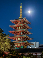 「伝法院庭園」