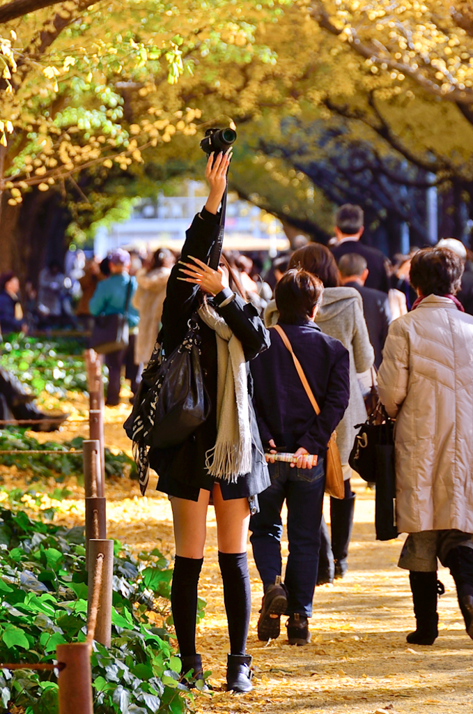 ［16］「秋の彩り」神宮外苑