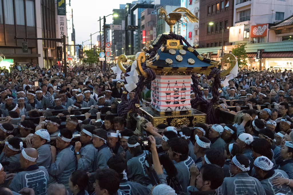 「三社祭」DSC_2564