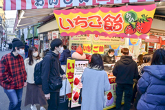 「ストリートスナップ・浅草」-13