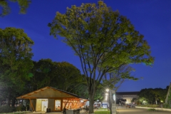 「上野の森のカフェ」DSC_0741