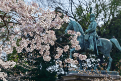 「桜満開の上野公園」