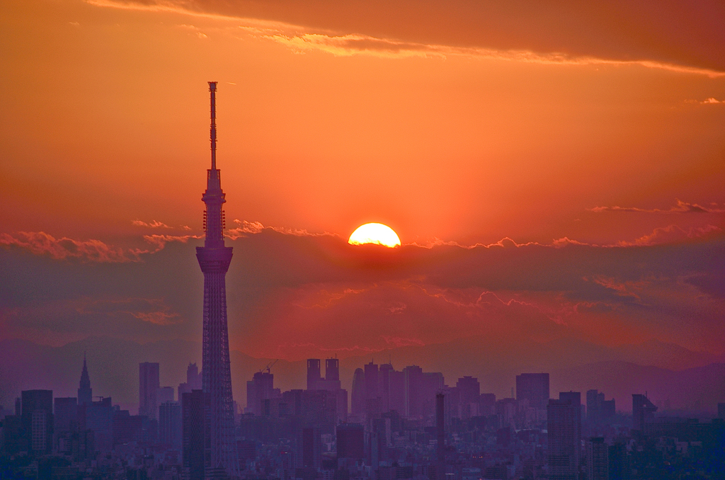 「スカイツリー・夕景」