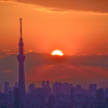 「スカイツリー・夕景」