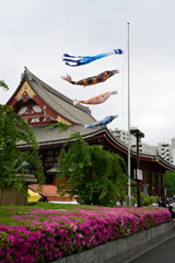 「５月の風吹いて」