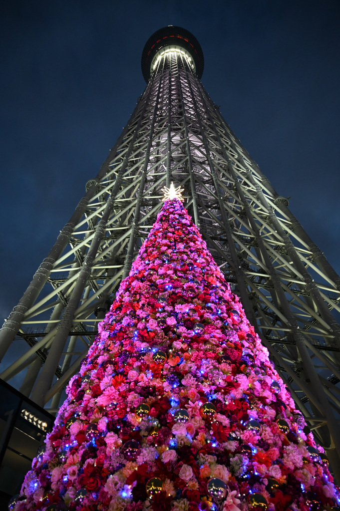 「ソラマチのクリスマス」DSC_0100