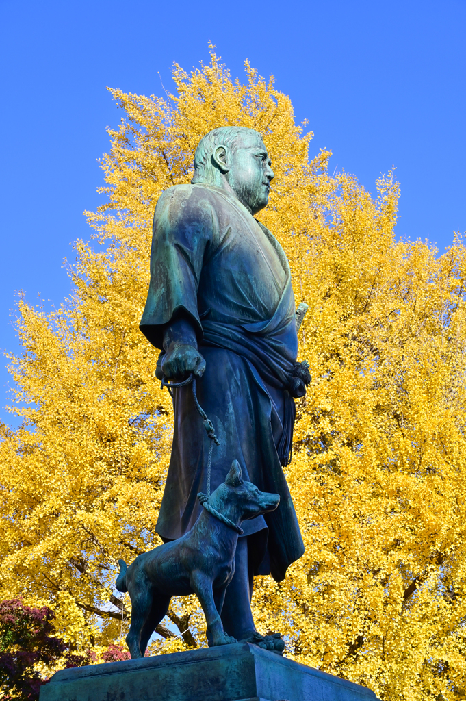 「黄葉」