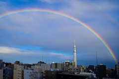 「虹と東京スカイツリー」