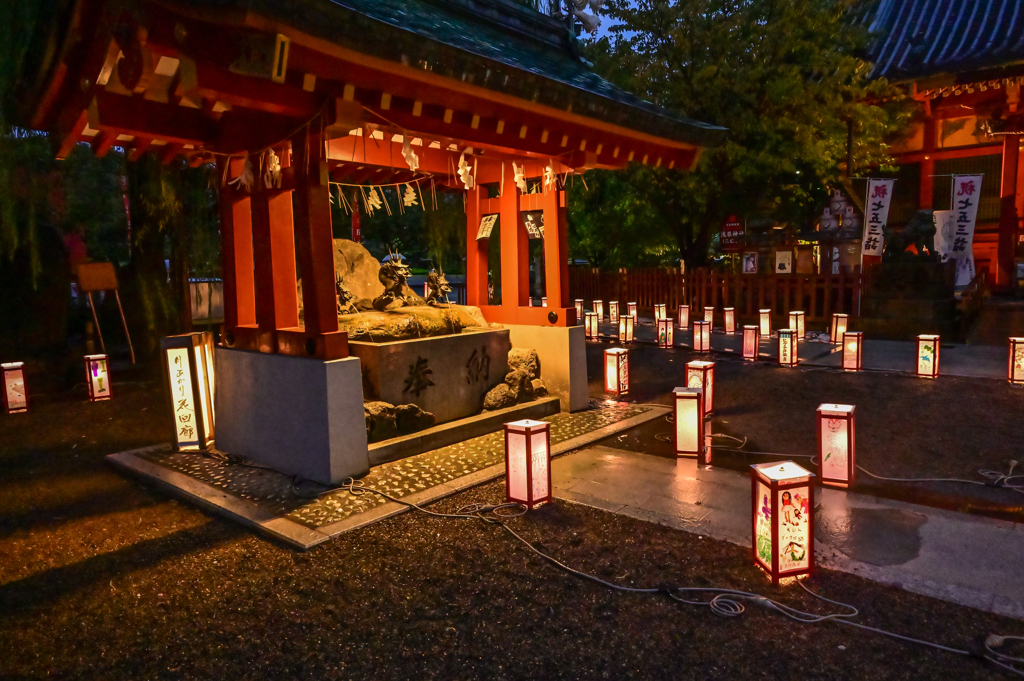 「淺草灯篭祭り」-2