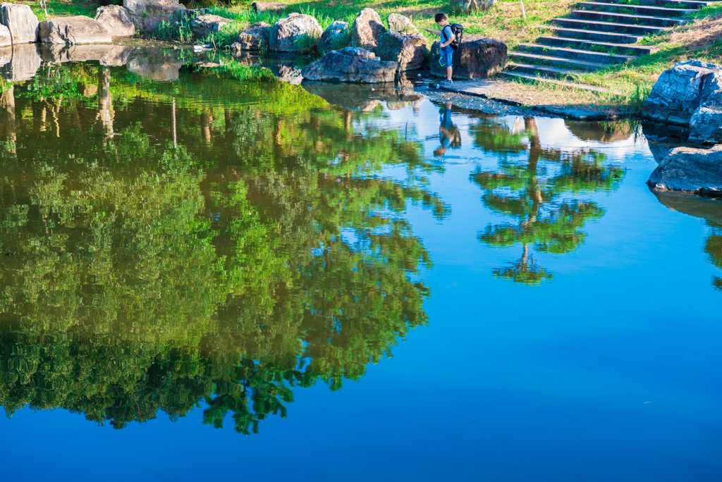 「水面への誘い」