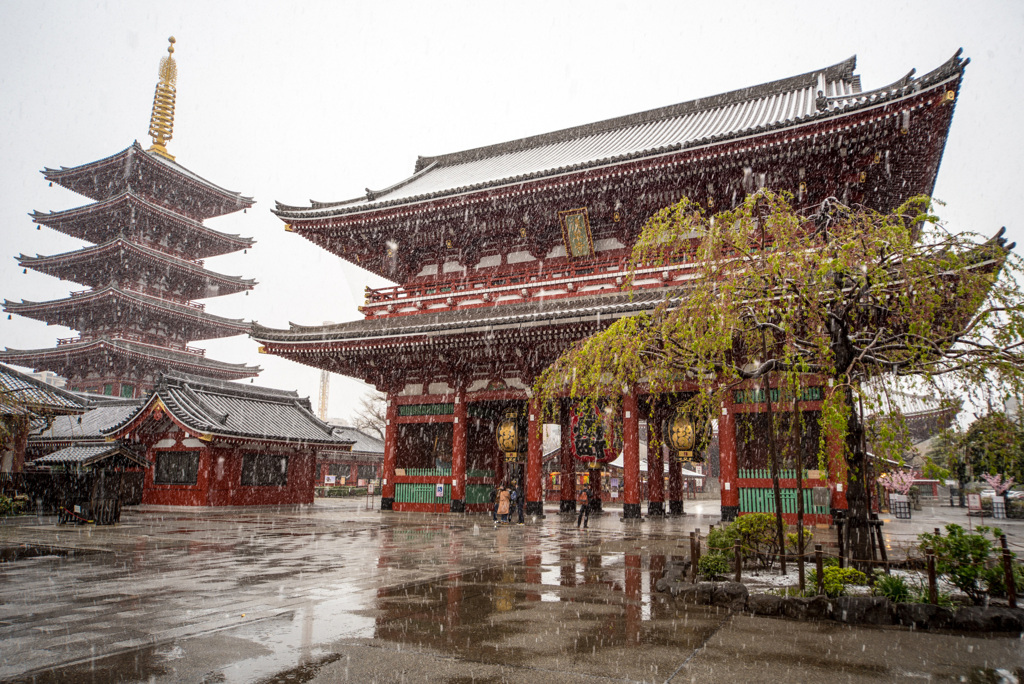 「雪降る浅草寺」-1