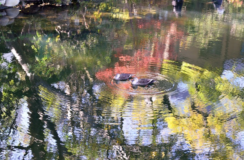 ［４］「波紋」（浅草寺）