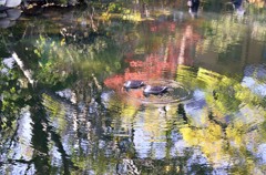 ［４］「波紋」（浅草寺）