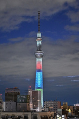 「元旦の灯り」