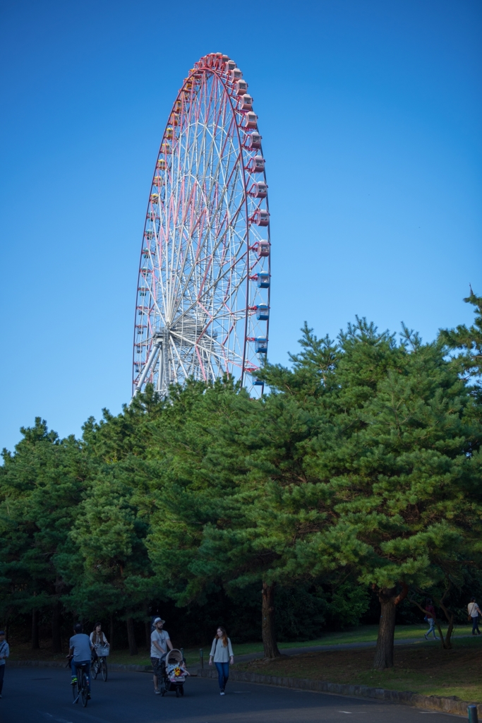 「観覧車のある公園」-4