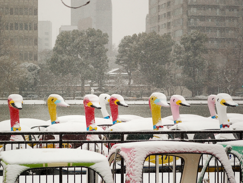 ［３８］「雪化粧」