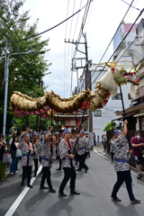 「金龍の舞」
