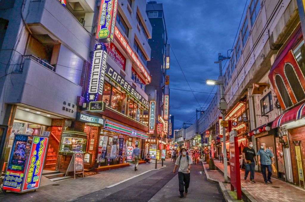 「夜の光彩」DSC_4659