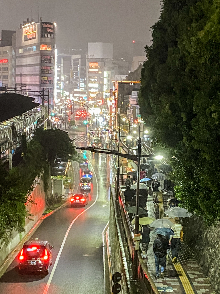 「雨降る広小路」