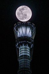 「スノームーン」