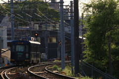 夕日に照らされて。