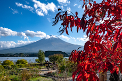 arrival of autumn