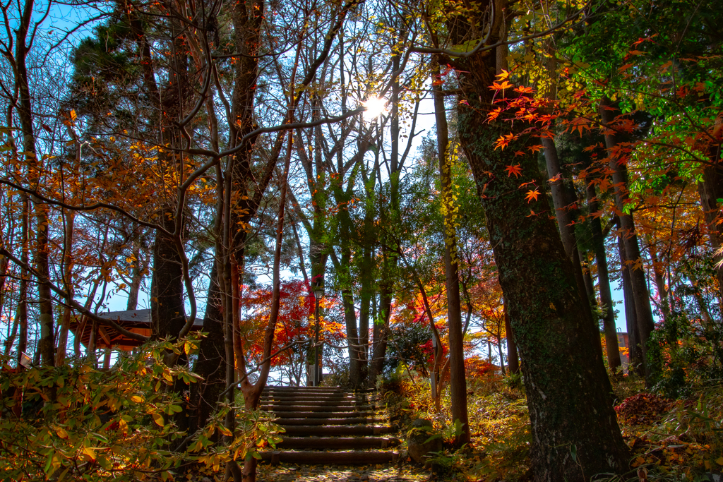 Seasonal changes