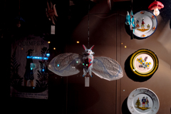display