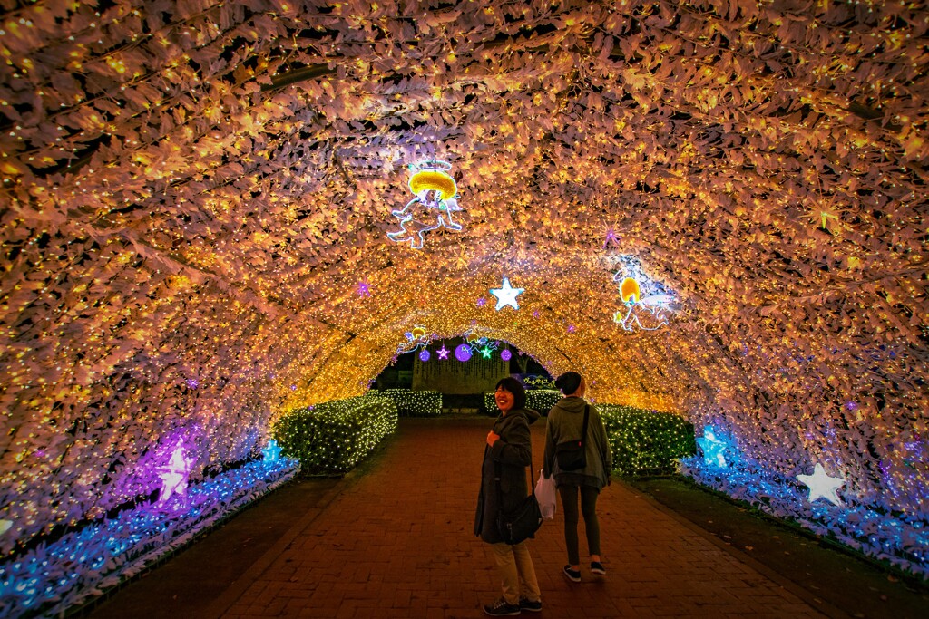 ひかりのトンネル