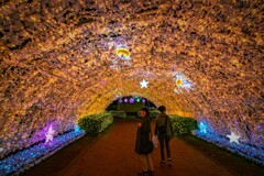 ひかりのトンネル