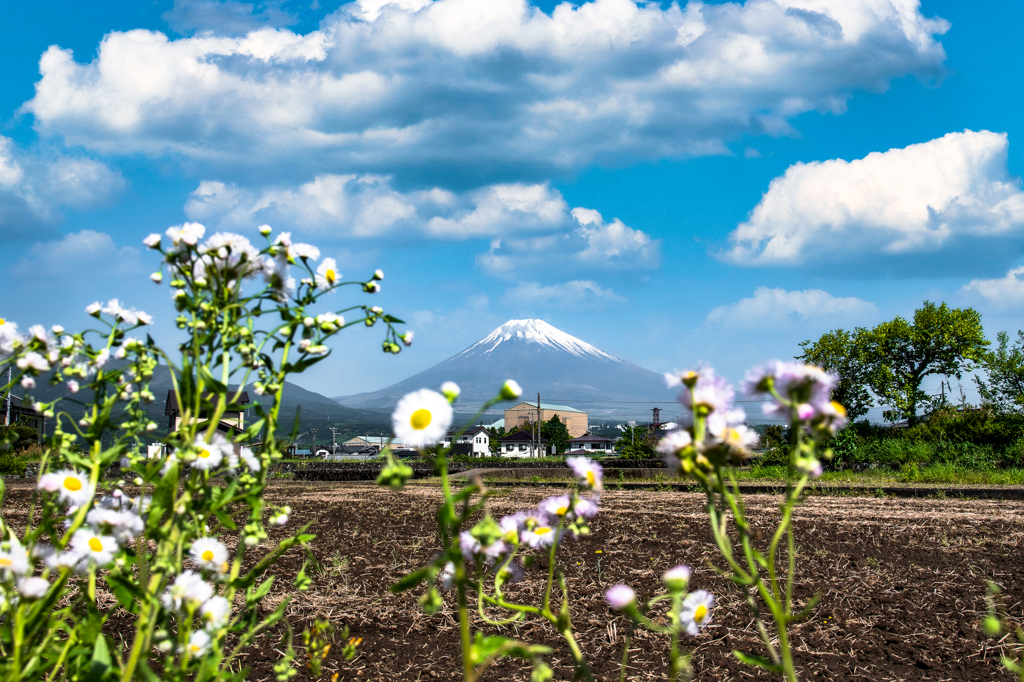 裾野情景