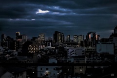 摩天楼BLUES