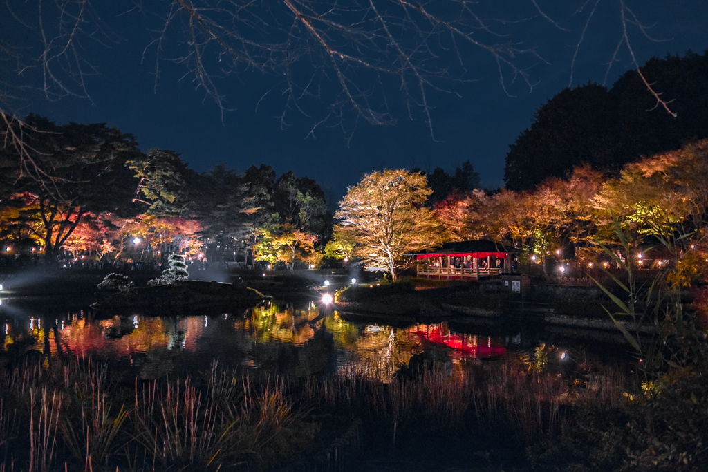 A Night at the Opera