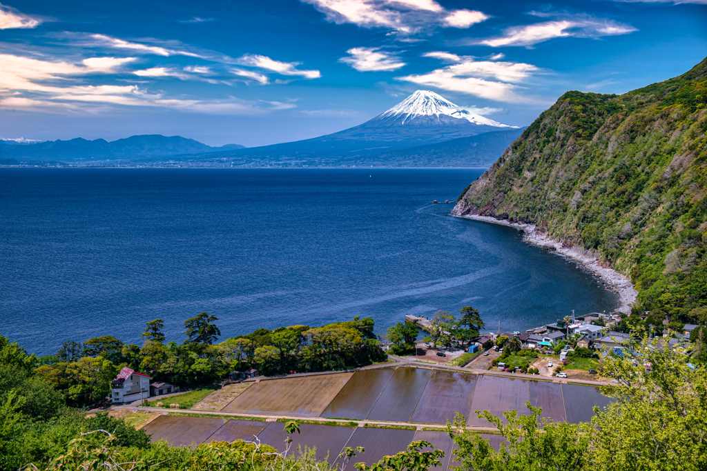 水田のある風景