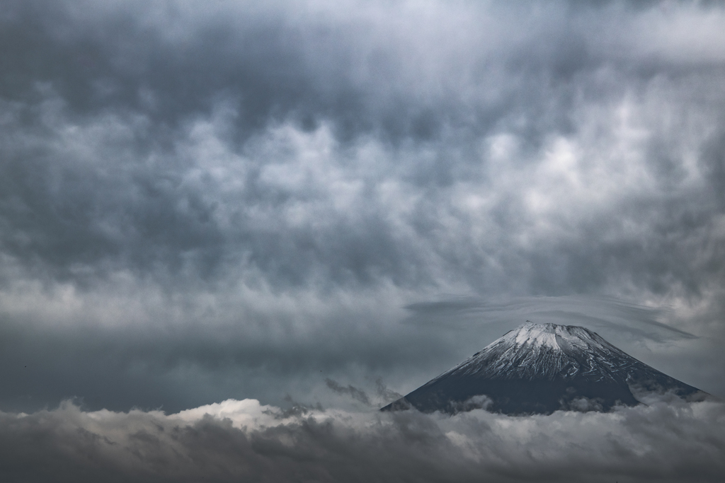雲海を泳ぐ富士