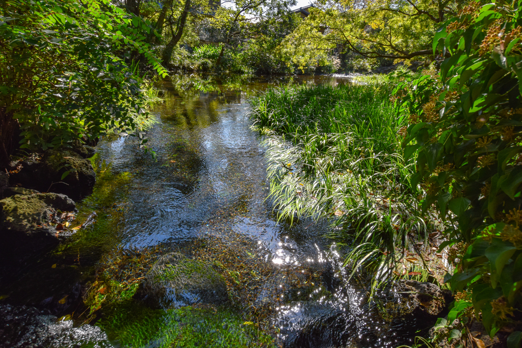 マイナスイオン