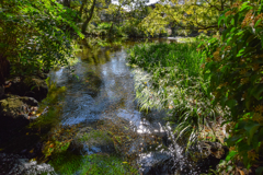 マイナスイオン