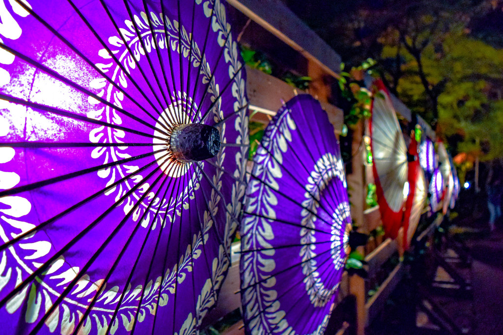 和傘のライティング